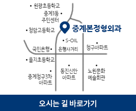 다음지도